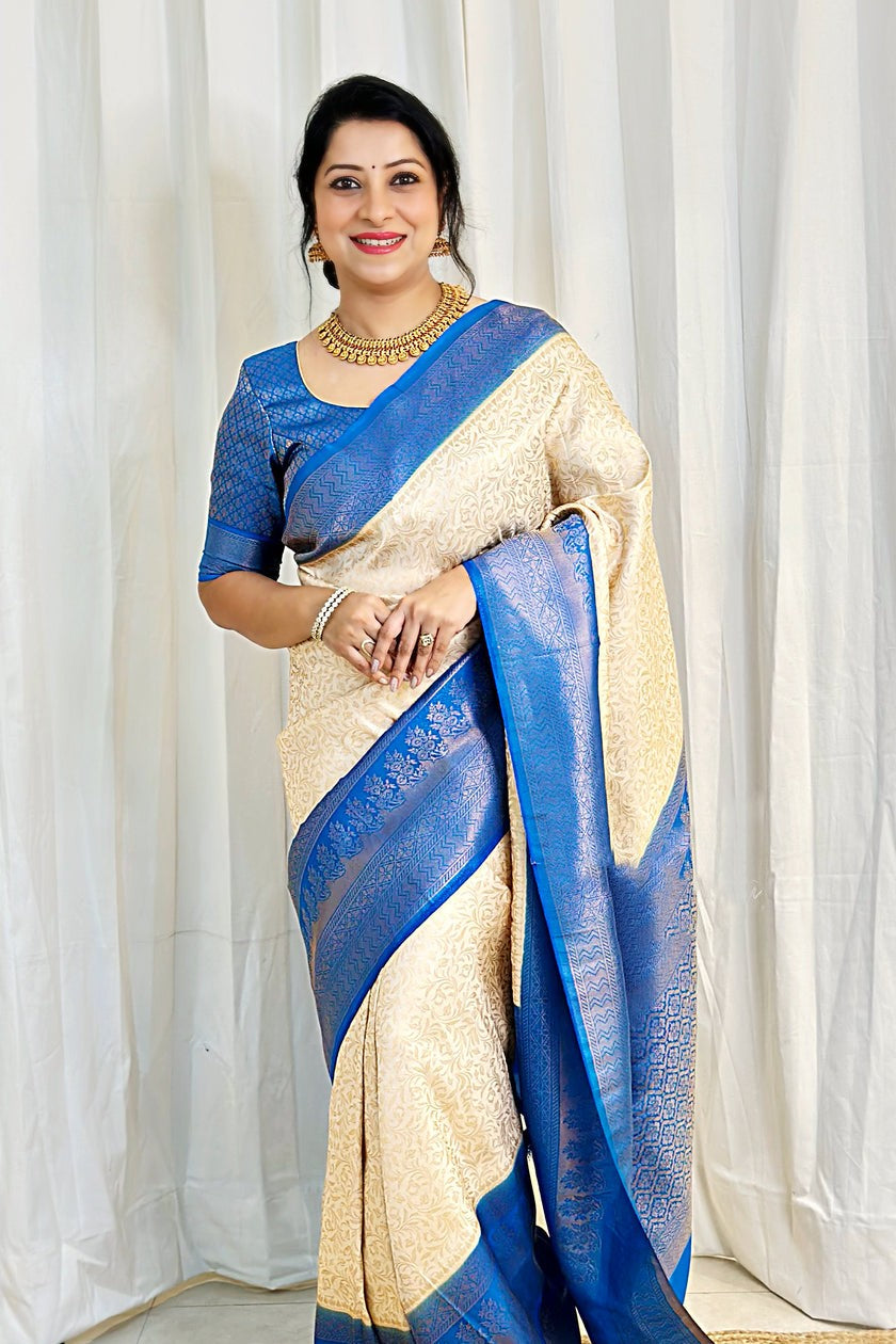 Indian Sarees, Saree, Blue White Georgette,Net Saree With Art Silk Blouse