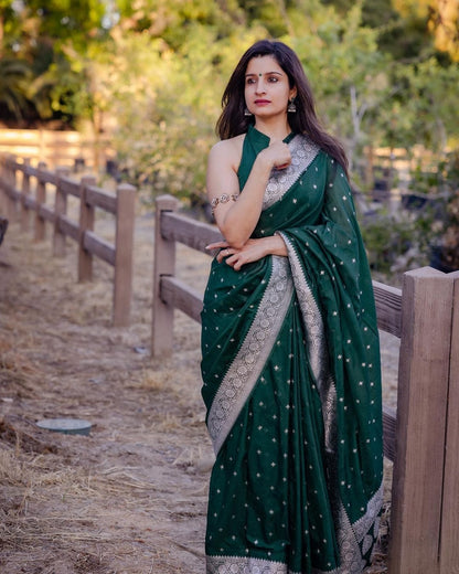 Green Two Tone Georgette Saree And Selfie Silk & Net Blouse Piece –  paanericlothing